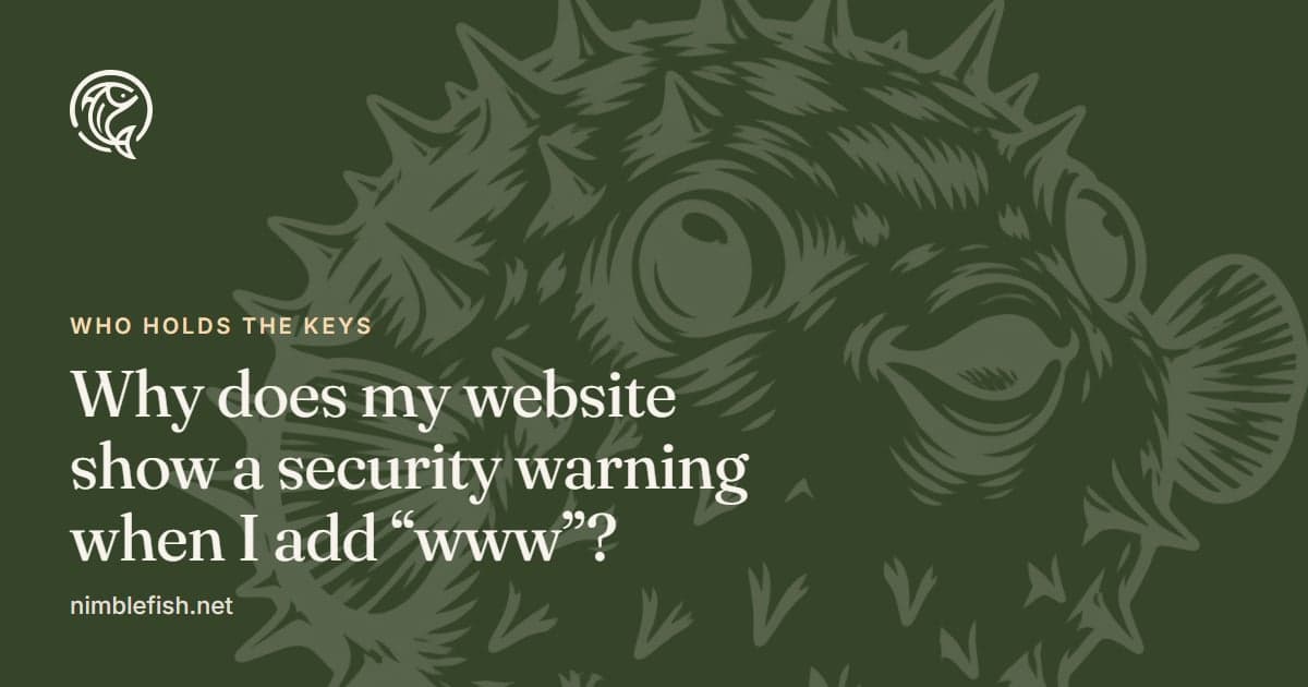 A dark green card with the nimblefish mark and the label Who holds the keys, above the title Why does my website show a security warning when I add "www"? An engraved pufferfish, spines out, fills the rest of the card.