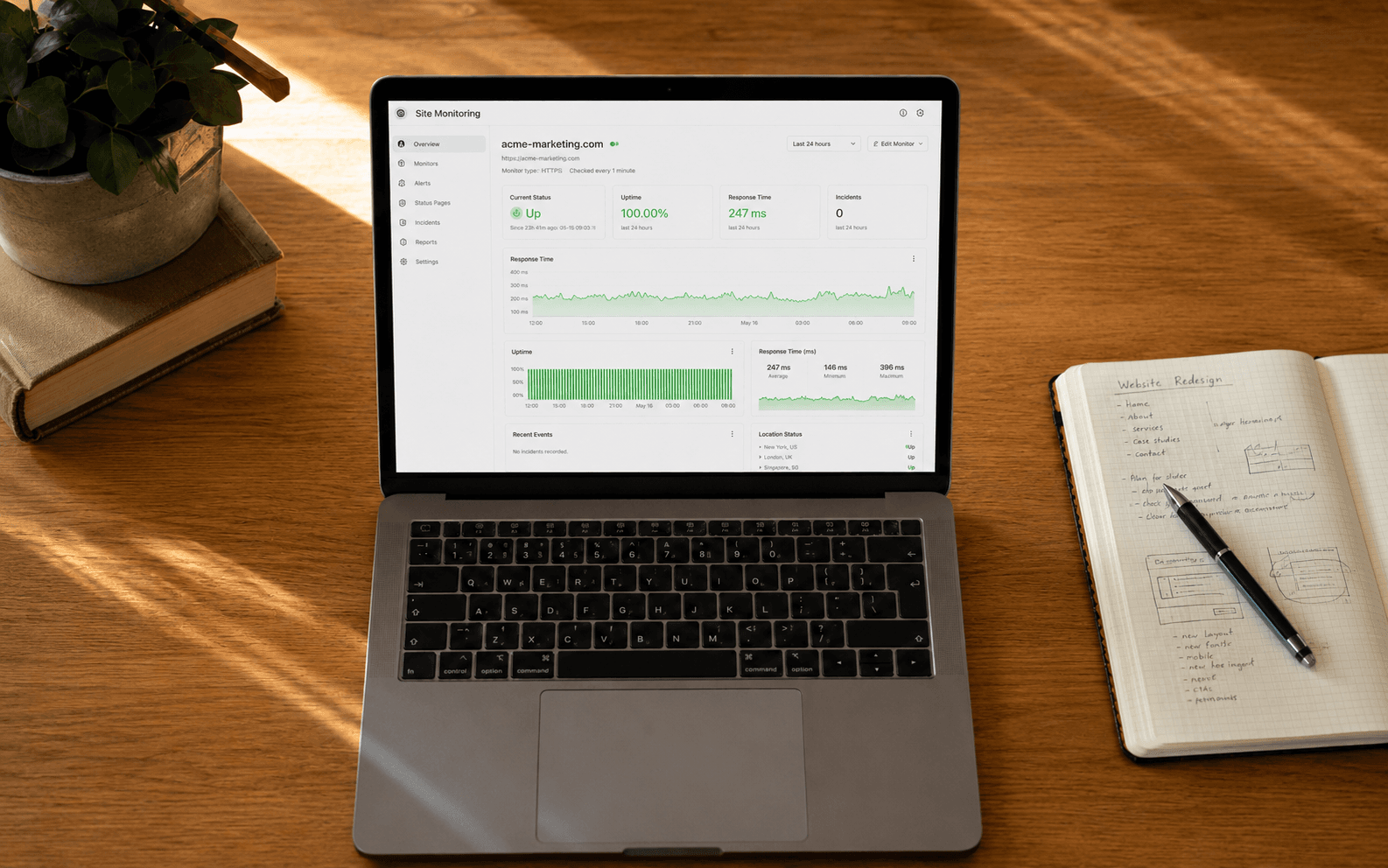 Website monitoring dashboard showing uptime and performance data